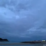 김동현