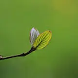 구본준