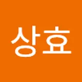김상효