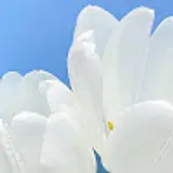 류은지