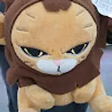 정