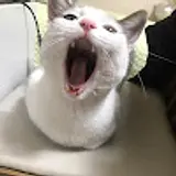 탁우진