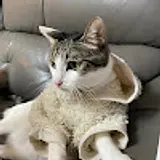김의연