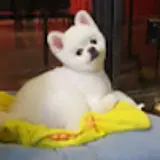 김은주