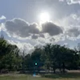윤정은