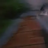 한정경