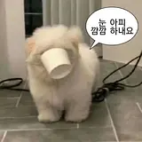 김지현