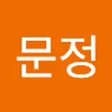 최문정
