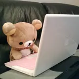 조예신