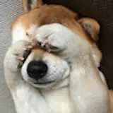 박상현