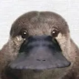 이승이