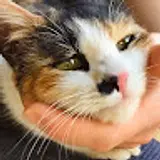 김경아
