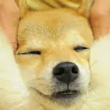 박상헌