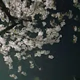 박정우