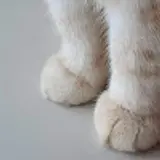 포에버영