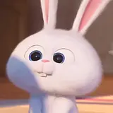 김한솔