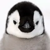 아름
