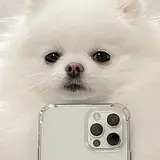 곽소연