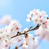 고수민