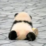 강성훈