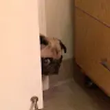 최자은