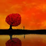 Joe Lim