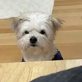 최영재
