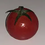 윤서희