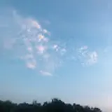 최윤한