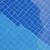 N L