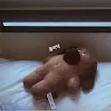 심지현