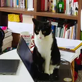 남예지