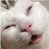안태환
