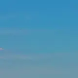 Monator