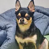 최용욱