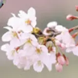 김수민