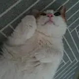 신승아