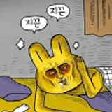 장수지