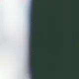 jake