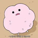 seorp