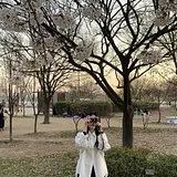 현정