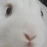 이병현