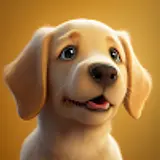 jaegoo lee
