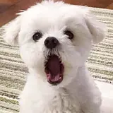 YUN