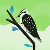 오주상