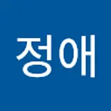 한정애