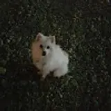 이재협