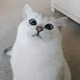 조민수
