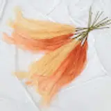 p k