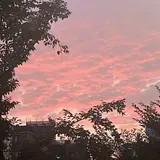 두딘